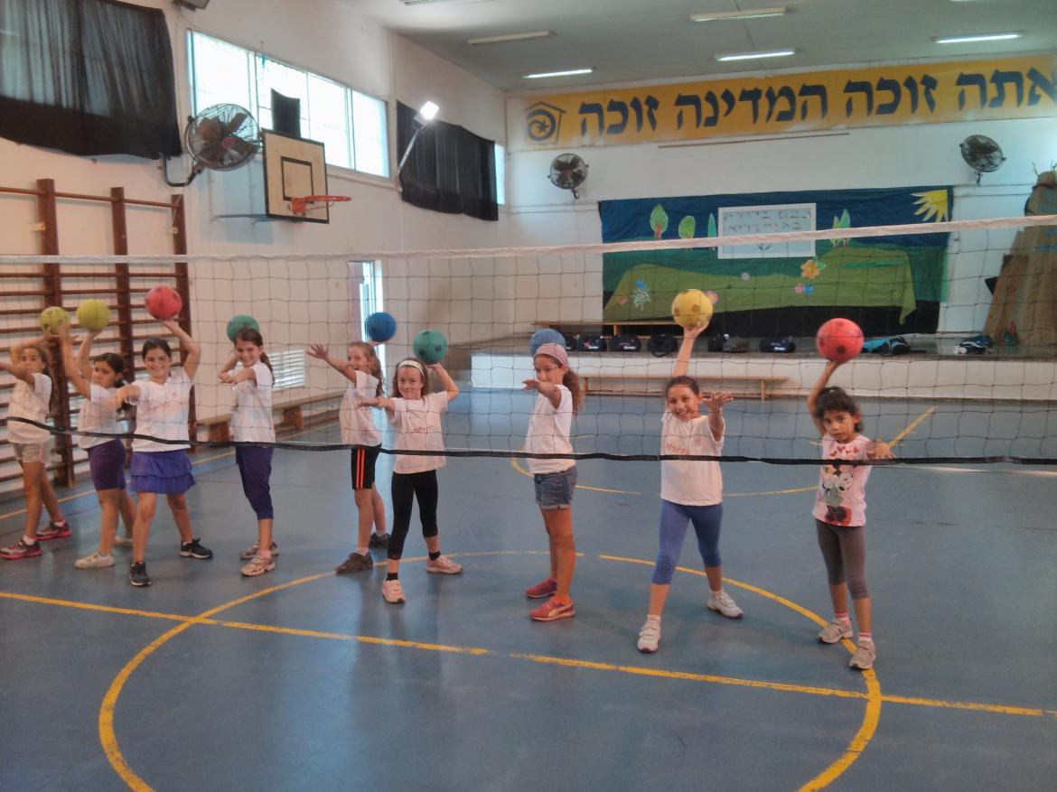 כדורשת וכדורעף